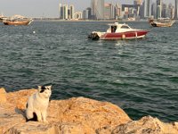 Naher Osten 2025 - 123